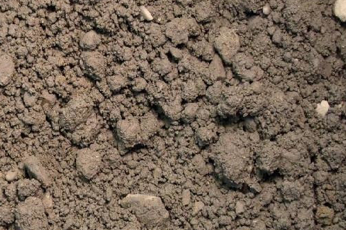 Garden Soil